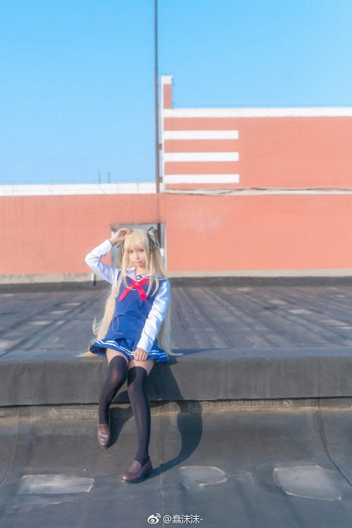 燕窝、鲍鱼、鱼翅的营养比较:九游体育入口(图3) 九游体育娱乐